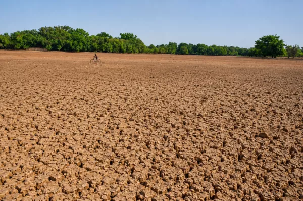 Gestion durable des ressources en eau : À Koudougou, la reconquête des cours d’eau au cœur d’un ambitieux projet de revitalisation.