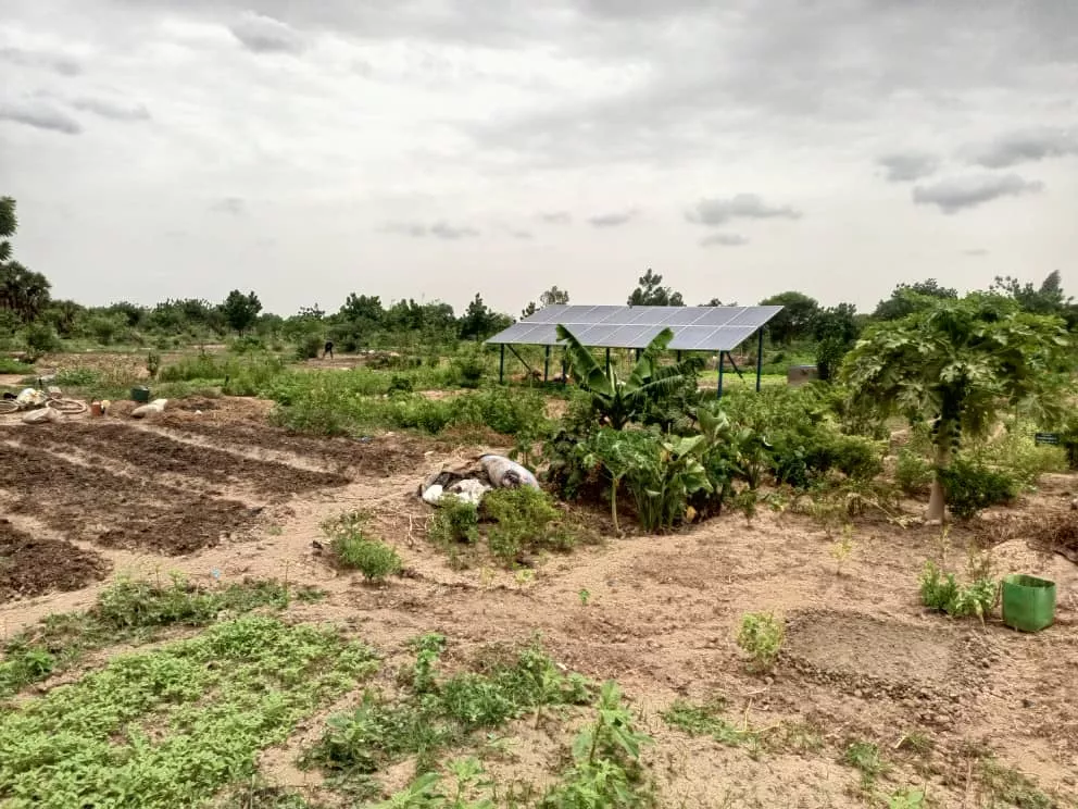 Nourrir la Ville, Bâtir l’Espoir: L’agriculture urbaine et la transformation locale comme levier de résilience et d’autonomisation à Ouagadougou